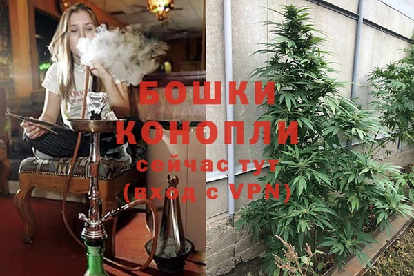 мескалин Мегион